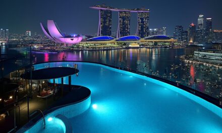Atemberaubende Aussicht vom SkyPark Observation Deck: Ihr nächstes Muss in Singapur!
