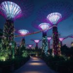 Gardens by the Bay: Technologisches Wunderwerk trifft Natur