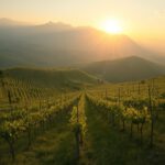 In Verona die Natur erleben: Die besten Outdoor-Routen zum Erkunden