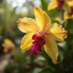 Versteckte Schätze: Die geheimen Gärten von Kew