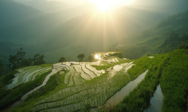 Vietnam für Abenteurer: Die Top-Trekkingrouten im Norden entdecken